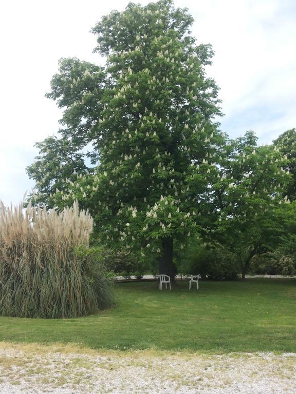 Agriturismo Al Navile Malalbergo Bagian luar foto