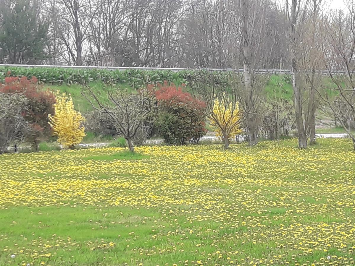 Agriturismo Al Navile Malalbergo Bagian luar foto